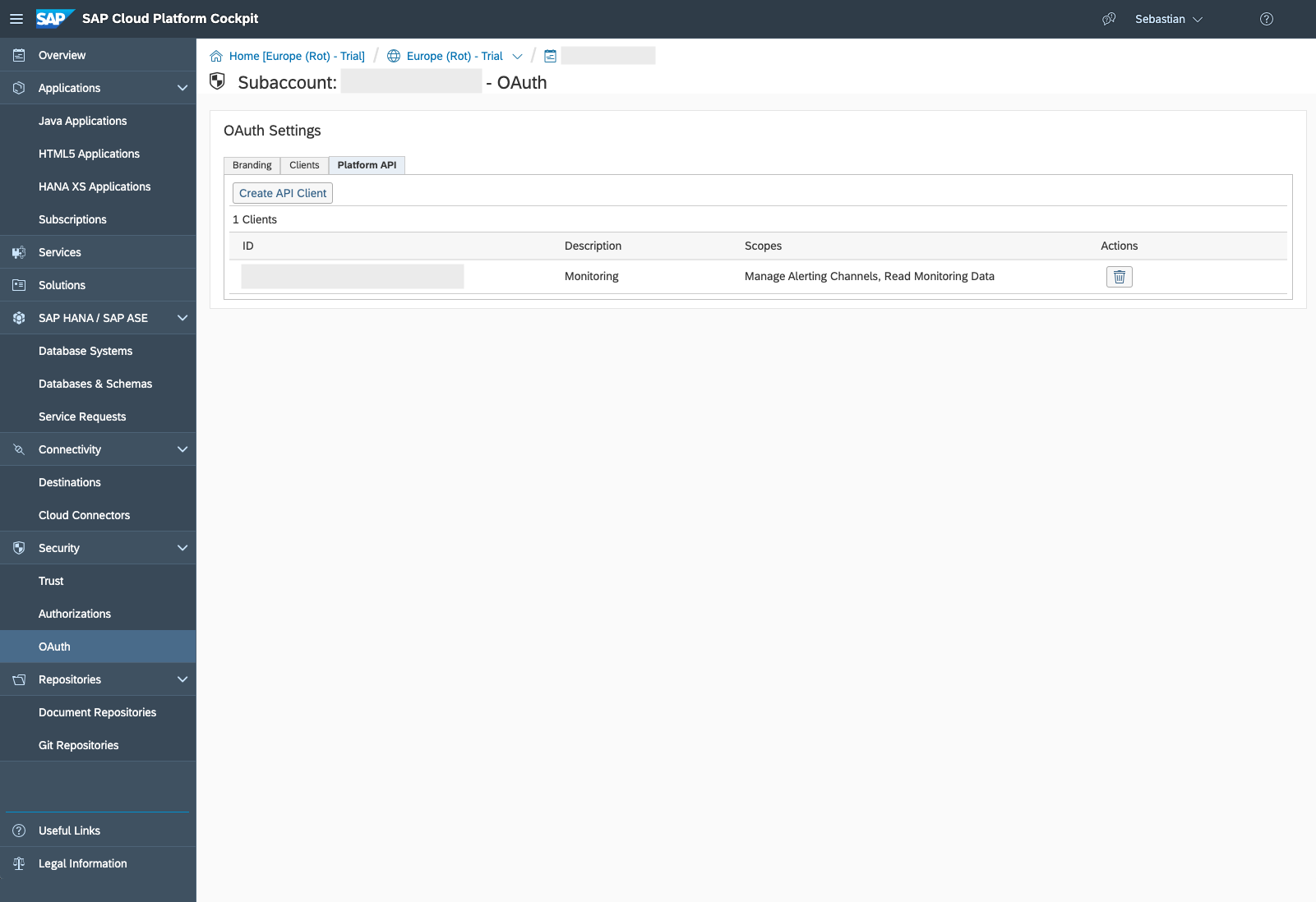SAP Neo Auth Page