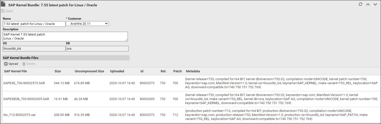 SAP Kernel Bundle Files table