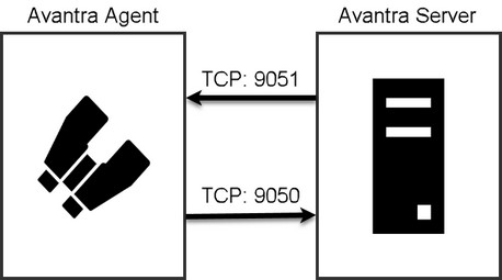 Network Connectivity