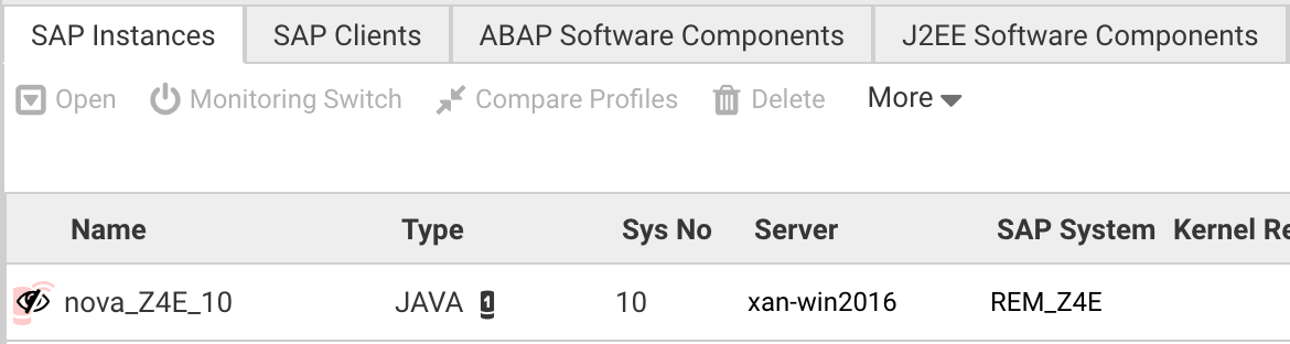 ui view sap instance list not seen