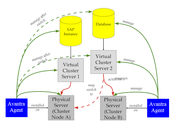 Avantra Cluster Management: The solid lines indicate the default setup