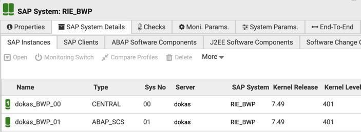 Auto-Discovered SAP Instances